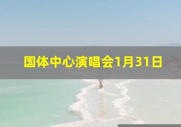 国体中心演唱会1月31日