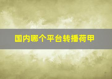 国内哪个平台转播荷甲