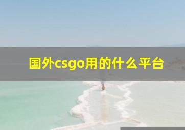 国外csgo用的什么平台