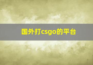 国外打csgo的平台