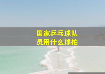 国家乒乓球队员用什么球拍