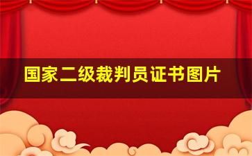 国家二级裁判员证书图片