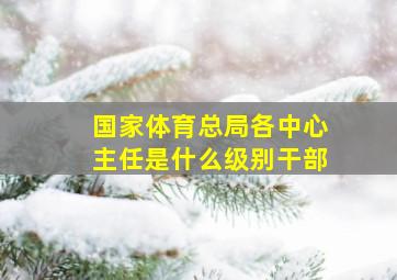 国家体育总局各中心主任是什么级别干部