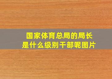 国家体育总局的局长是什么级别干部呢图片