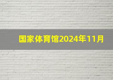 国家体育馆2024年11月