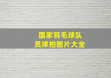 国家羽毛球队员球拍图片大全