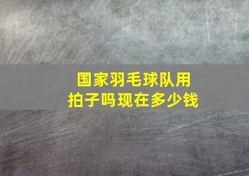 国家羽毛球队用拍子吗现在多少钱