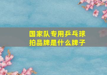 国家队专用乒乓球拍品牌是什么牌子