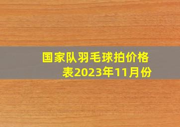 国家队羽毛球拍价格表2023年11月份