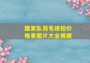 国家队羽毛球拍价格表图片大全视频