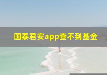 国泰君安app查不到基金