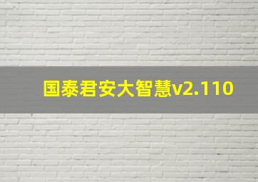 国泰君安大智慧v2.110