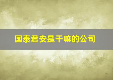 国泰君安是干嘛的公司