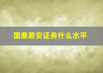 国泰君安证券什么水平