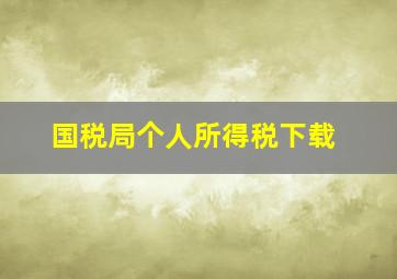 国税局个人所得税下载