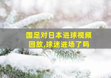 国足对日本进球视频回放,球迷进场了吗