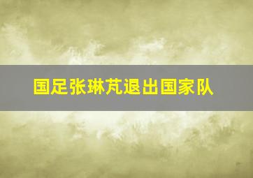 国足张琳芃退出国家队