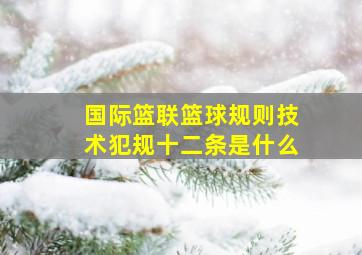 国际篮联篮球规则技术犯规十二条是什么