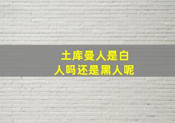 土库曼人是白人吗还是黑人呢