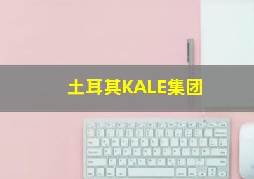 土耳其KALE集团