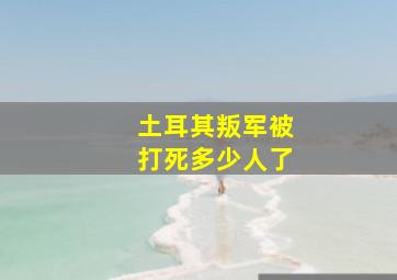 土耳其叛军被打死多少人了