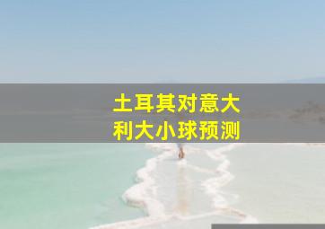 土耳其对意大利大小球预测