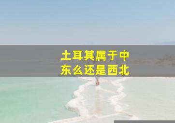 土耳其属于中东么还是西北