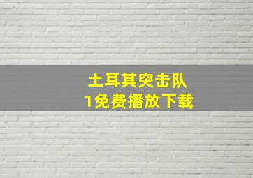 土耳其突击队1免费播放下载