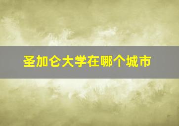 圣加仑大学在哪个城市