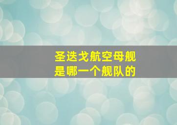 圣迭戈航空母舰是哪一个舰队的