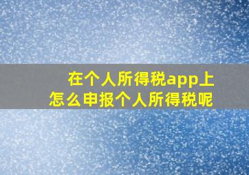 在个人所得税app上怎么申报个人所得税呢