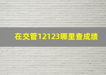 在交管12123哪里查成绩