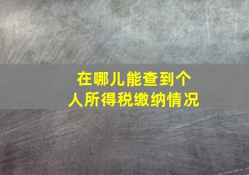 在哪儿能查到个人所得税缴纳情况