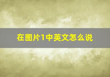 在图片1中英文怎么说