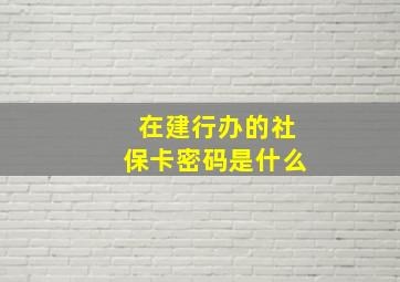 在建行办的社保卡密码是什么