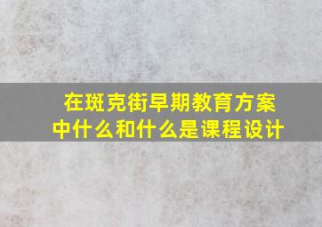 在斑克街早期教育方案中什么和什么是课程设计