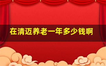 在清迈养老一年多少钱啊