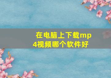 在电脑上下载mp4视频哪个软件好