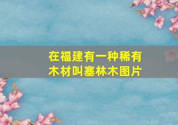 在福建有一种稀有木材叫塞林木图片