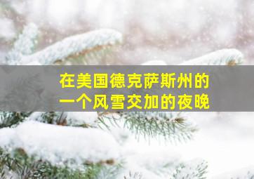 在美国德克萨斯州的一个风雪交加的夜晚