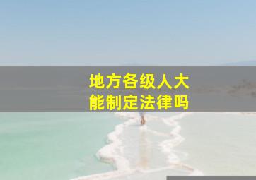 地方各级人大能制定法律吗