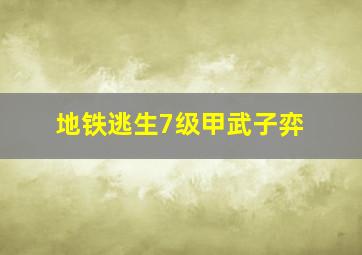 地铁逃生7级甲武子弈