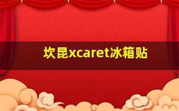 坎昆xcaret冰箱贴