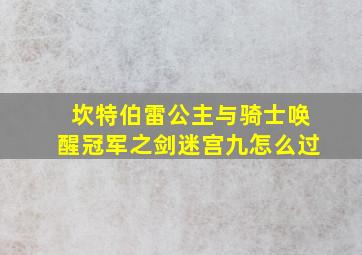 坎特伯雷公主与骑士唤醒冠军之剑迷宫九怎么过