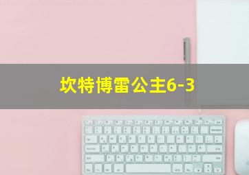 坎特博雷公主6-3