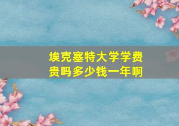 埃克塞特大学学费贵吗多少钱一年啊