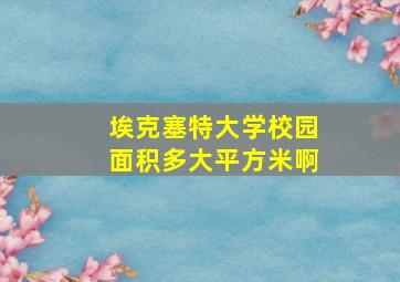 埃克塞特大学校园面积多大平方米啊