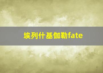 埃列什基伽勒fate