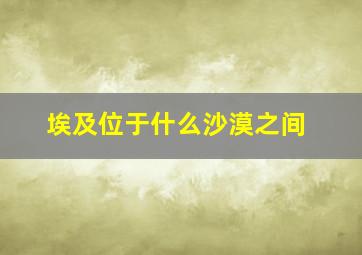 埃及位于什么沙漠之间