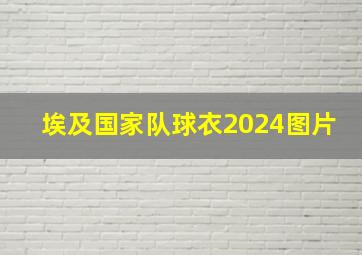 埃及国家队球衣2024图片